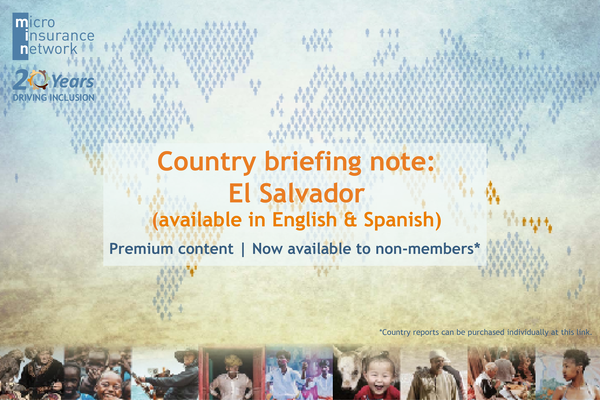 Country briefs_El Salvador_600px.png