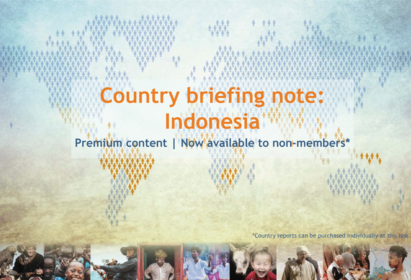 Country briefs' banenr_Indonesia_600px.png