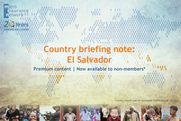El Salvador Country brief_600px.png